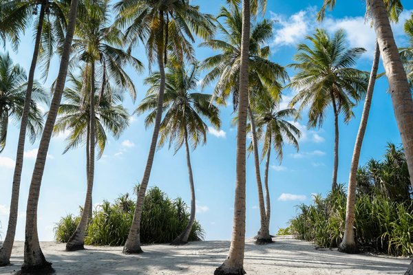 Comment organiser une visite des temples incas à Machu Picchu, Pérou : itinéraires et recommandations pratiques ?
