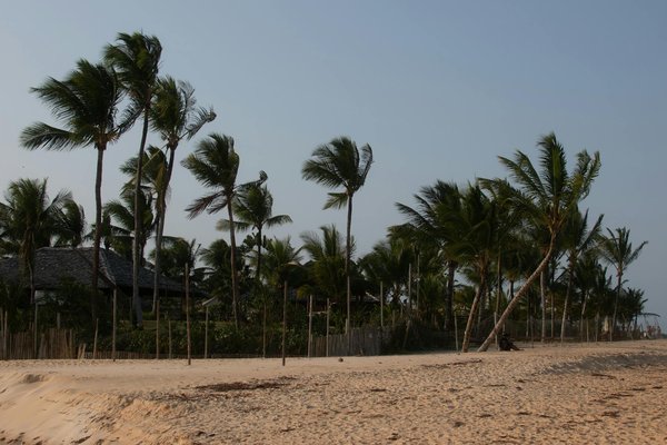 Quels sont les meilleurs endroits pour observer les aurores boréales en Finlande?