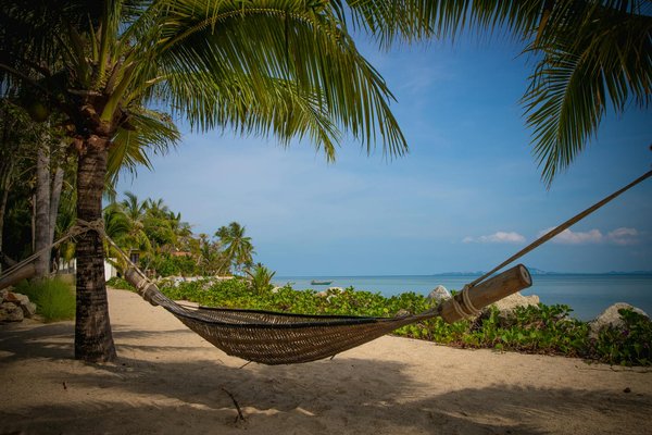 Quels sont les conseils pour un camping en forêt méditerranéenne en été?